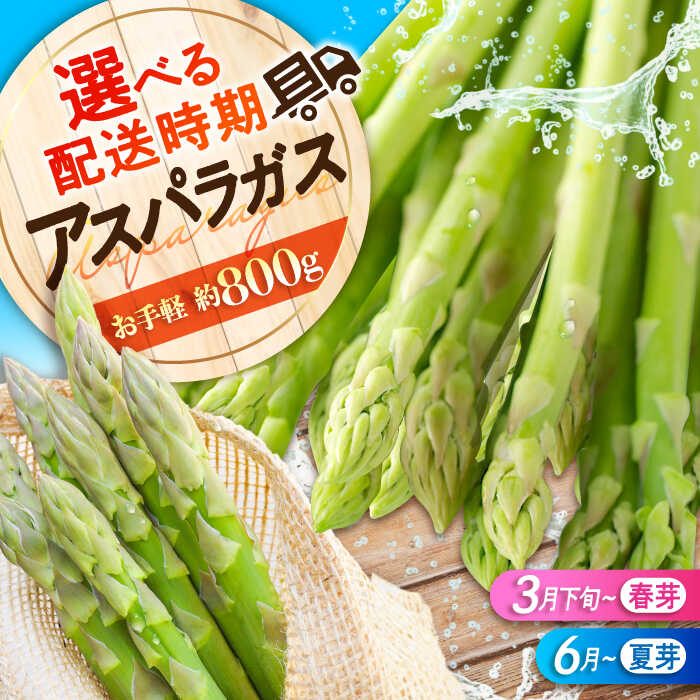【先行予約】 アスパラガス 朝採れ アスパラガス（約800g）とれたて 採れたて 朝採れ アスパラ 旬 春野菜 夏野菜 野菜 人気 おすすめ 産地直送 国産 送料無料 人気 おすすめ ギフト 贈り物 プレゼント 広島 三次 ふるさと納税 三次市/福分アスパラ[APAU001]