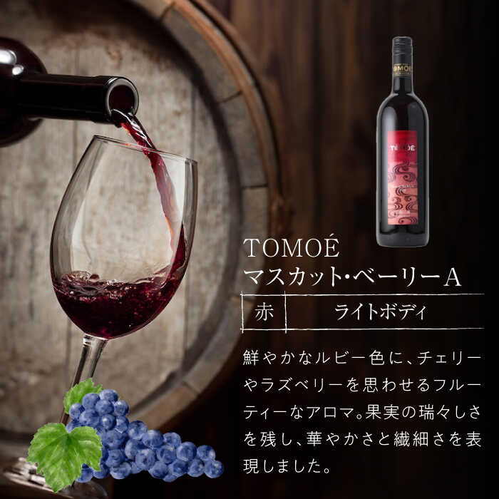 【ふるさと納税】【スピード発送】TOMOE 白ワイン 赤ワイン 2本セット C シャルドネ リザーブ 辛口 マスカットベーリーA ワイン 受賞 飲み比べ ワインセット ギフト 三次市 / 広島三次ワイナリー[APAZ018]ワイン受賞 飲み比べ ワインセット 贈答 ギフト18000円 酒 記念日 サムネイル3