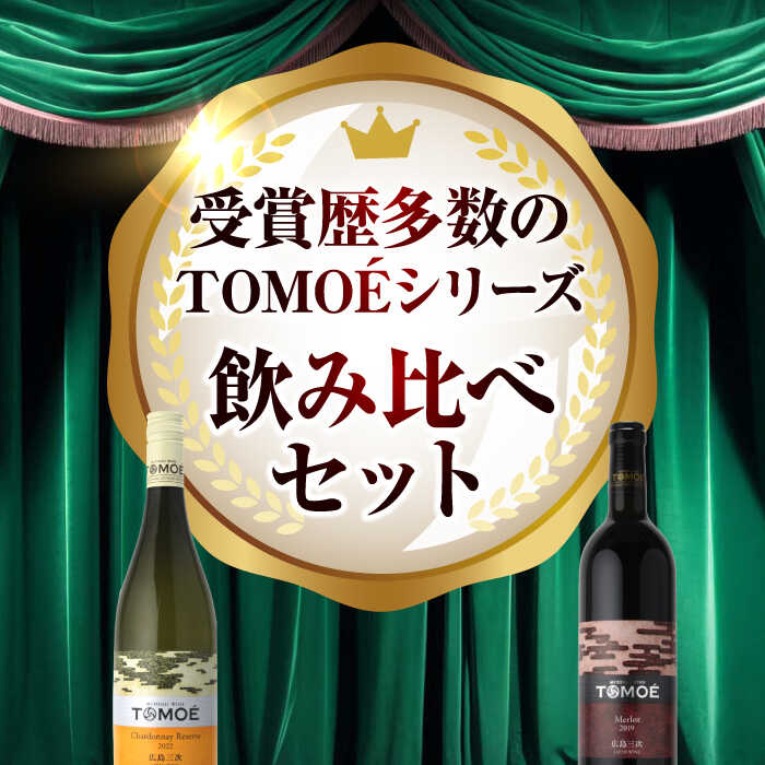 【ふるさと納税】【スピード発送】 TOMOEワイン2本セット D ワイン 受賞 飲み比べ ワインセット ギフト 三次市 / 広島三次ワイナリー[APAZ026]ワイン 受賞 飲み比べ ワインセット ギフト 贈答 ギフト 広島 三次 21000円 お中元 酒 アルコール お酒 国産 記念日 サムネイル2