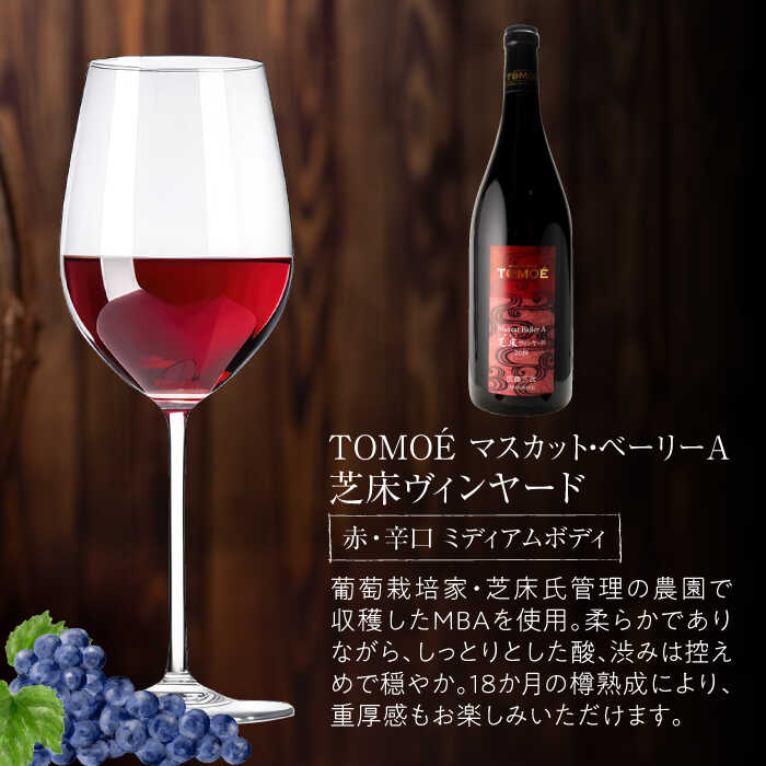 【ふるさと納税】【スピード発送】〜三次のMBAを味わう〜マスカット・ベーリーA 3ヴァインヤードセット ワイン 受賞 飲み比べ 赤ワイン ギフト 三次市 / 広島三次ワイナリー[APAZ031]ワインセット 贈答 特産品 産地直送 取り寄せ 送料無料 広島 三次 26000円 3万円以下 サムネイル2