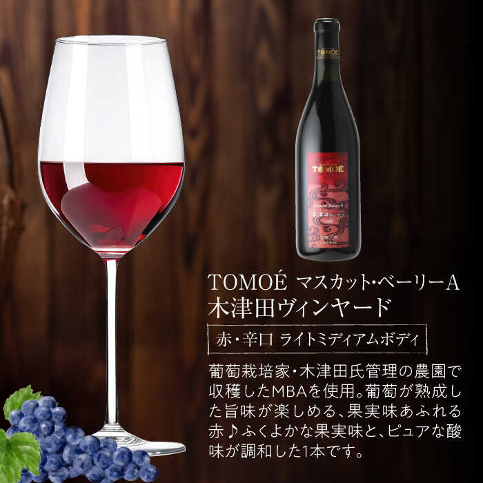 【ふるさと納税】【スピード発送】〜三次のMBAを味わう〜マスカット・ベーリーA 3ヴァインヤードセット ワイン 受賞 飲み比べ 赤ワイン ギフト 三次市 / 広島三次ワイナリー[APAZ031]ワインセット 贈答 特産品 産地直送 取り寄せ 送料無料 広島 三次 26000円 3万円以下 サムネイル3