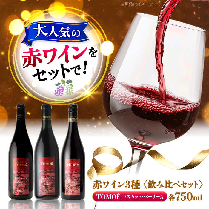 【スピード発送】〜三次のMBAを味わう〜マスカット・ベーリーA 3ヴァインヤードセット ワイン 受賞 飲み比べ 赤ワイン ギフト 三次市 / 広島三次ワイナリー[APAZ031]ワインセット 贈答 特産品 産地直送 取り寄せ 送料無料 広島 三次 26000円 3万円以下