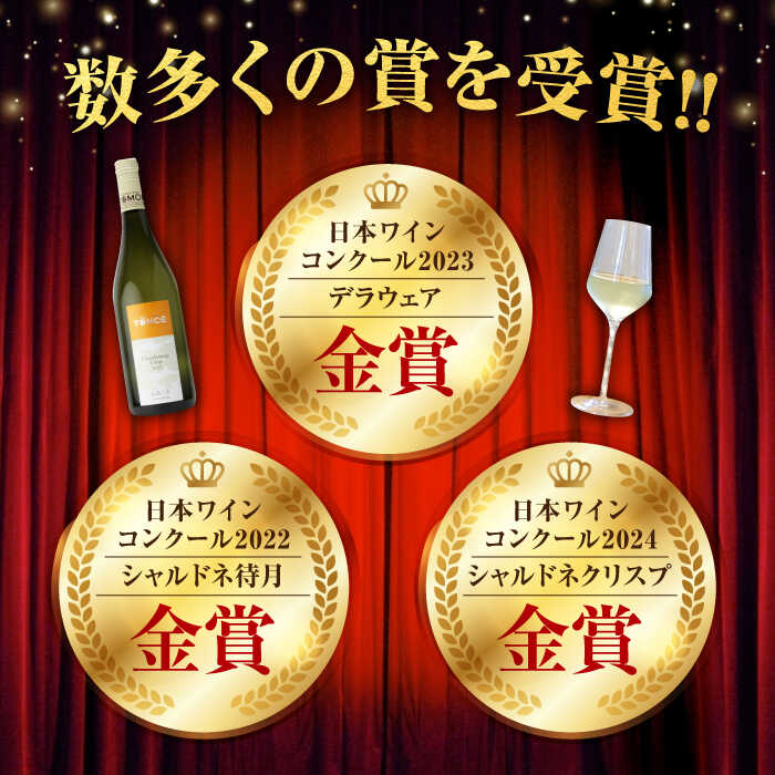 【ふるさと納税】【スピード発送】 ソムリエが選ぶ TOMOEワイン 絶品 白ワイン 飲み比べ 各750ml 3本セット 白ワイン 受賞 飲み比べ ワインセット ギフト 三次市 / 広島三次ワイナリー[APAZ032]贈答 特産品 産地直送 取り寄せ 送料無料 広島 三次 27000円 3万円以下 サムネイル2