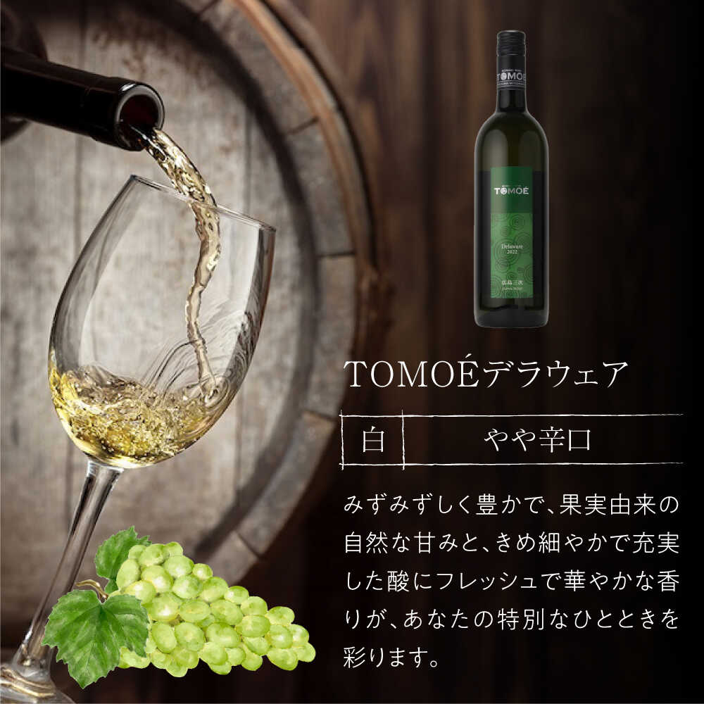 【ふるさと納税】【全12回定期便】TOMOE デラウェア 白ワイン やや辛口 750ml 1本 白 ワイン 受賞 ギフト 醸造 おすすめ 三次市 / 広島三次ワイナリー[APAZ052]飲み比べ 贈答 特産品 産地直送 取り寄せ 送料無料 広島 三次 106000円 11万円以下 お中元 酒 辛口 記念日 サムネイル3
