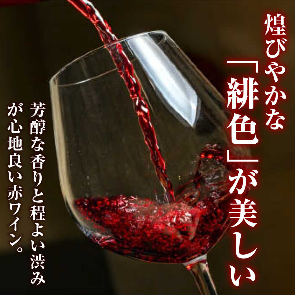 【ふるさと納税】【全12回定期便】緋 〜あけ〜 赤ワイン ライトミディアム 750ml 1本 赤 ワイン ギフト 三次産 ぶどう 葡萄 ブドウ 三次市 / 広島三次ワイナリー[APAZ060]ワインセット 贈答 特産品 産地直送 取り寄せ 送料無料 広島 三次 102000円 11万円以下 酒 記念日 サムネイル2
