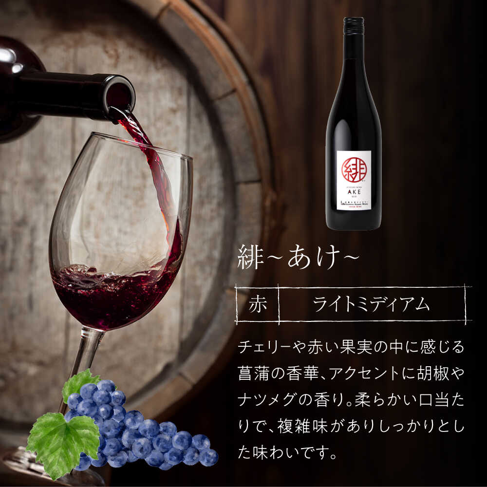 【ふるさと納税】【全12回定期便】緋 〜あけ〜 赤ワイン ライトミディアム 750ml 1本 赤 ワイン ギフト 三次産 ぶどう 葡萄 ブドウ 三次市 / 広島三次ワイナリー[APAZ060]ワインセット 贈答 特産品 産地直送 取り寄せ 送料無料 広島 三次 102000円 11万円以下 酒 記念日 サムネイル3