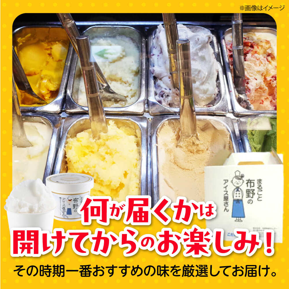 【ふるさと納税】 アイスクリーム 酪農野菜農家のジェラート 8個入 アイス アイスクリーム ジェラート ミルク バニラ バニラアイス カップアイス ラムレーズン 抹茶 チョコチップ ごま ゆず茶 酒粕 お取り寄せ ギフト 食べ比べ スイーツ 三次市/布野特産センター[APBA003] - 画像2