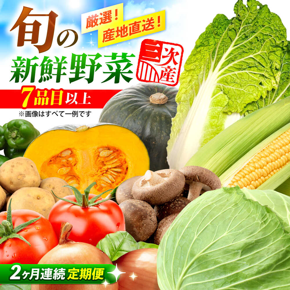 【全2回定期便】 野菜 厳選！農夫のお野菜セット 旬の野菜 7品目以上 詰め合わせ 野菜 セット 野菜セット 詰め合わせ 旬 新鮮 食材 特産品 産地直送 送料無料 人気 おすすめ 贈り物 プレゼント 広島 三次 ふるさと納税 三次市/布野特産センター[APBA014]