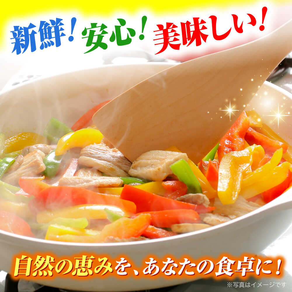 【ふるさと納税】【全3回定期便】 野菜 厳選！農夫のお野菜セット 旬の野菜 7品目以上 詰め合わせ 野菜 セット 野菜セット 詰め合わせ 旬 新鮮 食材 特産品 産地直送 送料無料 人気 おすすめ 贈り物 プレゼント 広島 三次 ふるさと納税 三次市/布野特産センター[APBA015] - 画像3