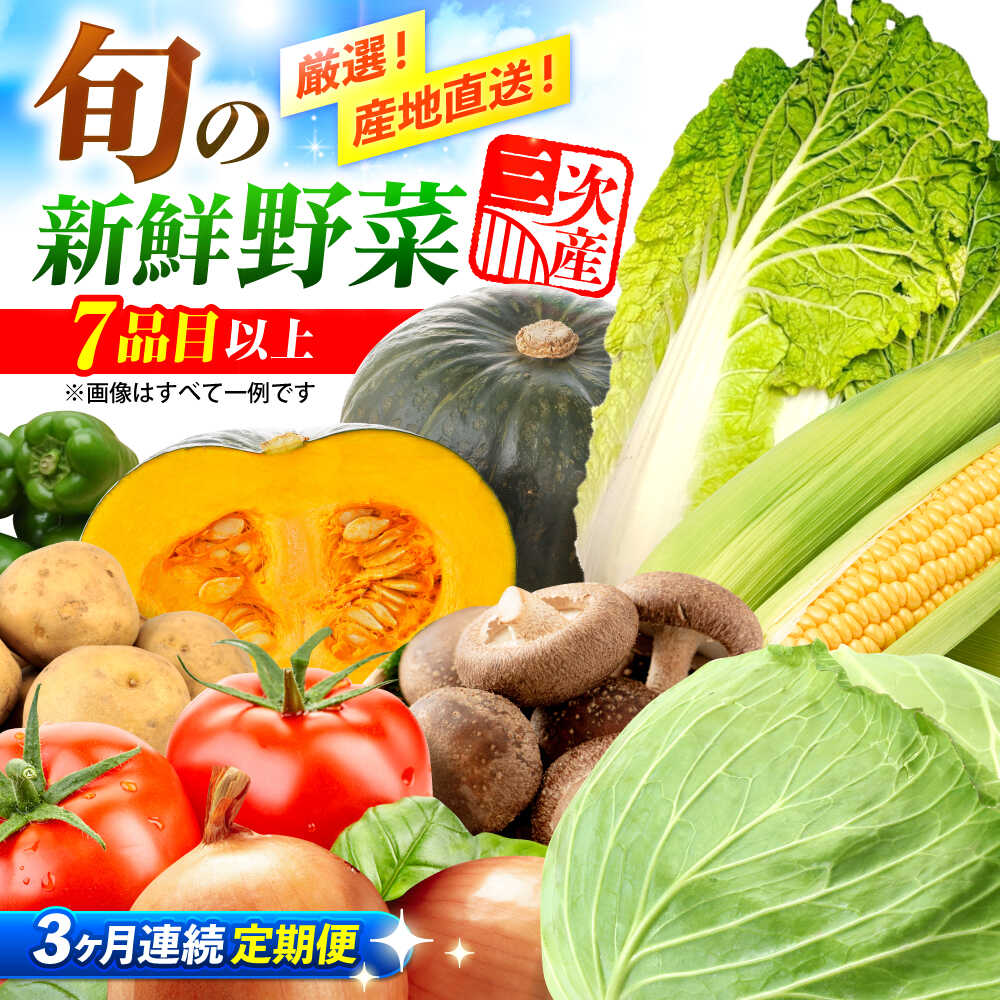 【全3回定期便】 野菜 厳選！農夫のお野菜セット 旬の野菜 7品目以上 詰め合わせ 野菜 セット 野菜セット 詰め合わせ 旬 新鮮 食材 特産品 産地直送 送料無料 人気 おすすめ 贈り物 プレゼント 広島 三次 ふるさと納税 三次市/布野特産センター[APBA015]