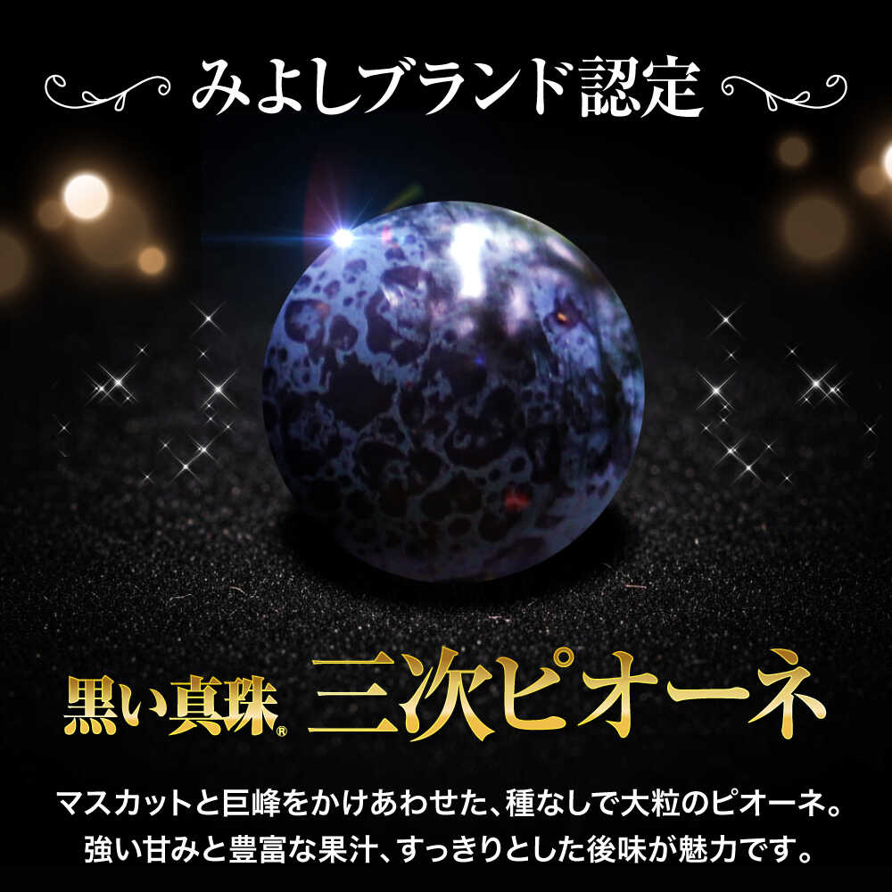 【ふるさと納税】三次ピオーネ ハウス栽培ム印 1kg （2房）【先行予約／数量限定】＜7月中旬頃から順次発送＞ ピオーネ 100セット限定 ぶどう 葡萄 ブドウ フルーツ 果物 黒い真珠 果物 贈り物 種なし 人気 おすすめ 広島 三次 三次市 / 三次ピオーネ生産組合 [APBD001] - 画像3