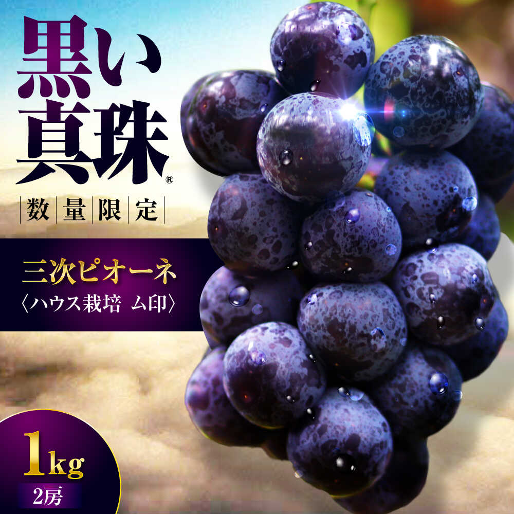 三次ピオーネ ハウス栽培ム印 1kg （2房）【先行予約／数量限定】＜7月中旬頃から順次発送＞ ピオーネ 100セット限定 ぶどう 葡萄 ブドウ フルーツ 果物 黒い真珠 果物 贈り物 種なし 人気 おすすめ 広島 三次 三次市 / 三次ピオーネ生産組合 [APBD001]