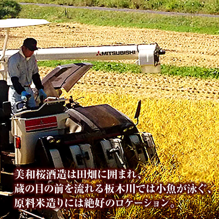 【ふるさと納税】【お歳暮ギフト対象】【年内発送】 日本酒 三次ブランド認定品 美和桜 純米酒720ml 日本酒 純米吟醸酒 純米酒 酒 さけ お取り寄せ 美和桜 セット 地酒 おすすめ 人気 特産品 送料無料 ギフト 贈り物 贈答 プレゼント 広島 三次市 / 美和桜酒造[APBF002] サムネイル3