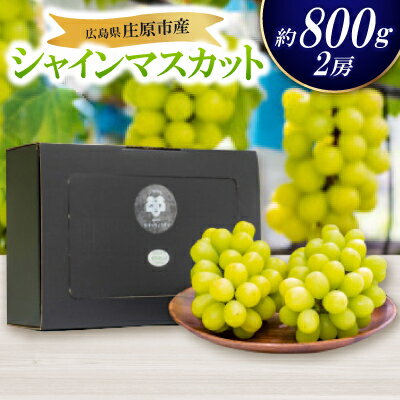 【先行予約 2026年発送】シャインマスカット2房セット【配送不可地域：離島・北海道・沖縄県】【1465047】