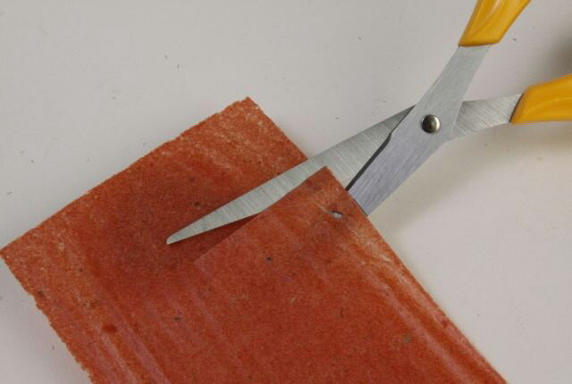 【ふるさと納税】トマトぱっ葉 - 画像2