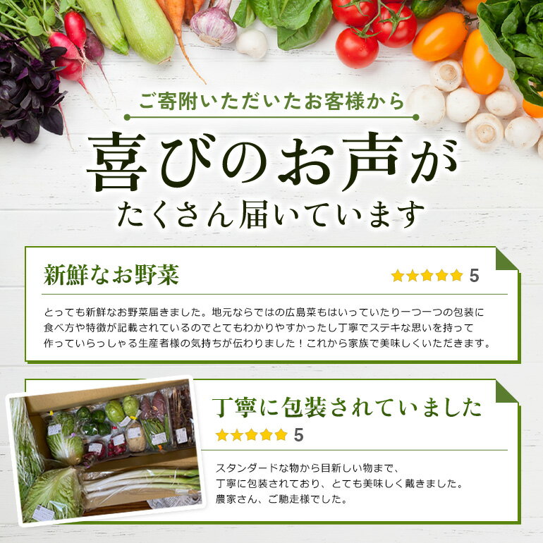 【ふるさと納税】安芸高田市の小さな農家がお届けするふるさと旬野菜セット 野菜類 詰合せ やさい - 画像2