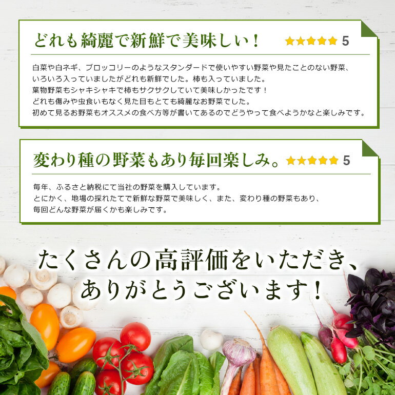 【ふるさと納税】安芸高田市の小さな農家がお届けするふるさと旬野菜セット 野菜類 詰合せ やさい - 画像3