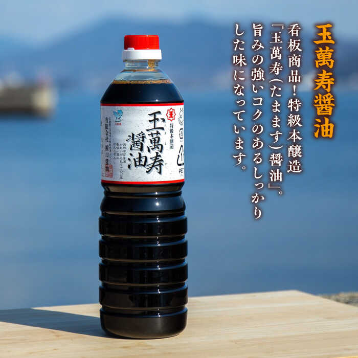 【ふるさと納税】調味料 セット 保存 だし 醤油 しょうゆ 【全3回定期便】忙しいあなたに！ これ1本で美味しい味付け！ 味付け/白だし/玉萬寿 各500mL 料理 簡単レシピ うどん そば ラーメン 鍋 餃子 和食 ギフト 江田島市/有限会社濱口醤油[XAA014] サムネイル2