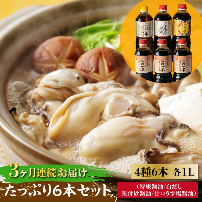 調味料 セット 保存 だし 醤油 しょうゆ 【全3回定期便】忙しいあなたに！ これ1本で美味しい味付け！6本セット（特級/白だし/味付け/あまくちうす塩）料理 簡単レシピ うどん 和食 ギフト 江田島市/有限会社濱口醤油[XAA017]
