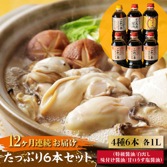 調味料 セット 保存 だし 醤油 しょうゆ 【全12回定期便】忙しいあなたに！ これ1本で美味しい味付け！たっぷり6本セット (特級/白だし/味付け/あまくちうす塩) 料理 簡単レシピ うどん 和食 ギフト 江田島市/有限会社濱口醤油[XAA019]
