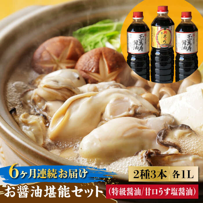 調味料 セット 保存 だし 醤油 しょうゆ 【全6回定期便】一度使うともう戻れない！ リピーター続出のお醤油堪能セット 1L×3本 (玉萬寿/あまくち) 料理 ラーメン うどん ギフト 鍋 餃子 和食 江田島市/有限会社濱口醤油[XAA024]