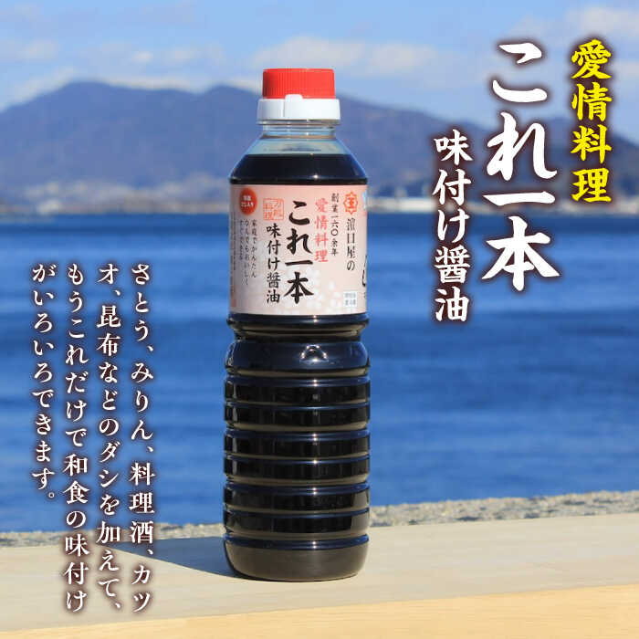 【ふるさと納税】調味料 だし 醤油 味付け醤油 500mL×5本 調味料 料理 ラーメン うどん 鍋 餃子 ギフト 簡単レシピ 江田島市/有限会社濱口醤油[XAA048] 醤油 しょうゆ だし 出汁 簡単 調味料 大豆 セット 保存 酒【7日以内発送】 サムネイル2