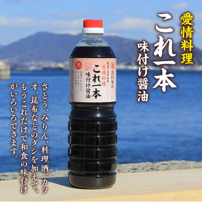 【ふるさと納税】調味料 だし 醤油 たっぷり6本セット（あまくちうす塩/味付け）調味料 料理 ラーメン うどん 鍋 餃子 ギフト 簡単レシピ 江田島市/有限会社濱口醤油[XAA058] 醤油 しょうゆ だし 出汁 簡単 調味料 大豆 セット 保存 酒【7日以内発送】 サムネイル3