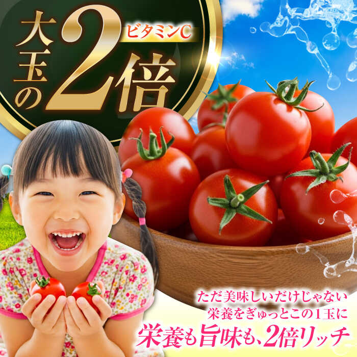 【ふるさと納税】野菜 トマト とまと 低農薬栽培 ミディアムトマト 3kg 【11月上旬から翌年6月末まで順次発送】料理 人気 美容 健康 ギフト 広島県産 江田島市/有限会社グリーンファーム沖美 [XAB001] 野菜 やさい トマト フルーツ とまと セット - 画像3