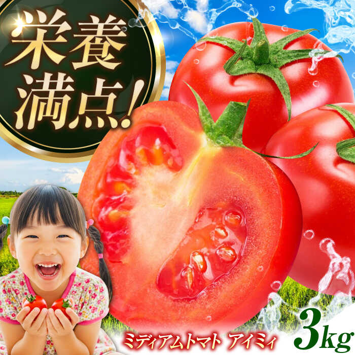 野菜 トマト とまと 低農薬栽培 ミディアムトマト 3kg 【11月上旬から翌年6月末まで順次発送】料理 人気 美容 健康 ギフト 広島県産 江田島市/有限会社グリーンファーム沖美 [XAB001] 野菜 やさい トマト フルーツ とまと セット