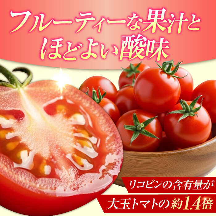 【ふるさと納税】野菜 トマト とまと 低農薬栽培 ミディアムトマト 2kg 【11月上旬〜翌年6月末まで順次発送】 料理 人気 美容 健康 ギフト 広島県産 江田島市/有限会社グリーンファーム沖美 [XAB002] 野菜 やさい トマト フルーツ とまと セット - 画像2