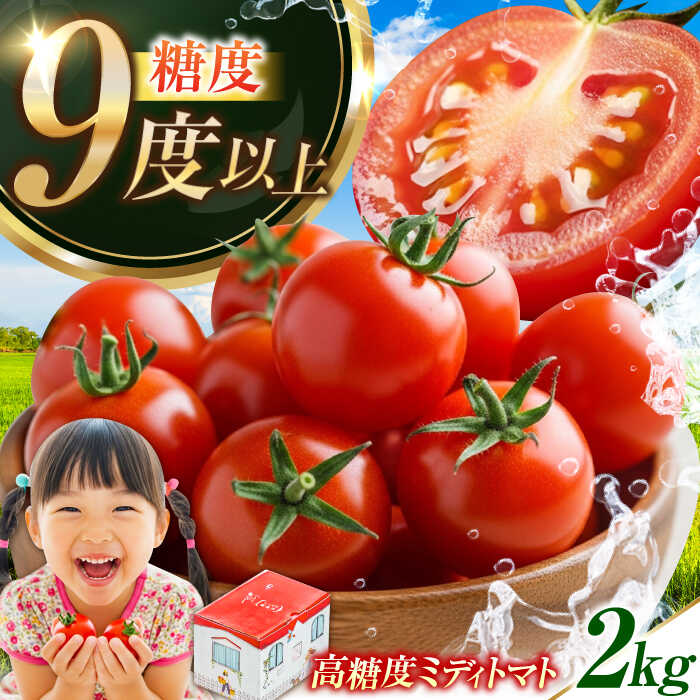 【11月上旬〜翌年6月末まで順次発送】トマト 糖度9以上！江田島ロマーノ 2kg 江田島市/有限会社グリーンファーム沖美[XAB005] トマト とまと 野菜 フルーツ 低農薬 栽培 高糖度ミディトマト 2キロ 料理 人気 美容 健康 ギフト 広島県産