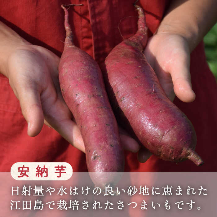 【ふるさと納税】さつまいも 芋 江田島の本格 芋焼酎 てくてく【安納芋】720ml×1本 さつまいも 芋 サツマイモ 人気 健康 酒 食事 ギフト プレゼント 江田島市/峰商事 合同会社[XAD004] さつまいも 芋 サツマイモ やきいも スイーツ お菓子 サムネイル3