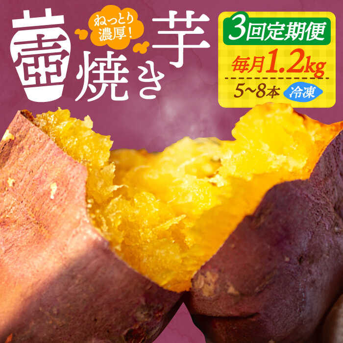 【全3回定期便】さつまいも 芋 『てくてく』の壺焼き芋 1.2kg さつまいも 人気 お菓子 スイーツ 美味しい 和菓子 ギフト プレゼント 江田島市/峰商事 合同会社[XAD048] さつまいも 芋 サツマイモ やきいも スイーツ お菓子