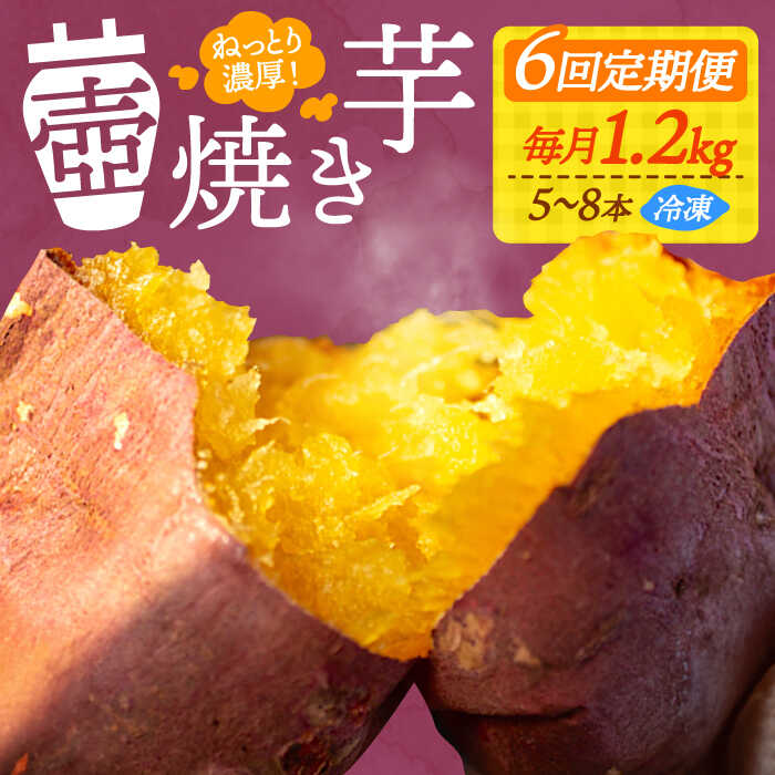 【全6回定期便】さつまいも 芋 『てくてく』の壺焼き芋 1.2kg 芋 さつまいも 人気 お菓子 スイーツ 美味しい 和菓子 ギフト プレゼント 江田島市/峰商事 合同会社[XAD049] さつまいも 芋 サツマイモ やきいも スイーツ お菓子