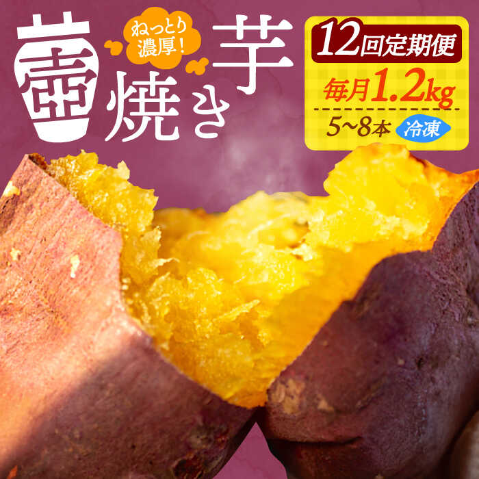 【全12回定期便】さつまいも 芋 『てくてく』の壺焼き芋 1.2kg さつまいも 人気 お菓子 スイーツ 美味しい 和菓子 ギフト プレゼント 江田島市/峰商事 合同会社[XAD050] さつまいも 芋 サツマイモ やきいも スイーツ お菓子