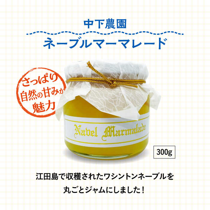 【ふるさと納税】島で自慢の特産品をセットでお届け！ 江田島の恵みたっぷり やまやま セット ポン酢 カレー オイル 人気 保存食 簡単 レシピ ギフト 広島県産 江田島市/江田島市観光協会[XAI004] 瀬戸内 牡蠣 かき カキ オリーブオイル うどん 麺 味噌 醤油 調味料 サムネイル3