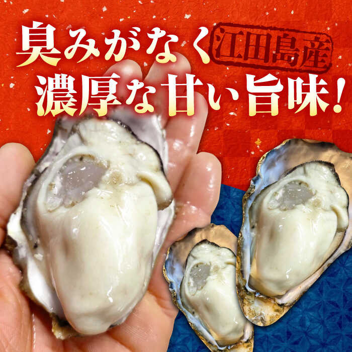 【ふるさと納税】すぐに使える！ 【生牡蠣】【着日指定可能】牡蠣 生食 むき身 広島県産 生食 むき身 殻付き かき カキ むき身 選べる かき カキ カキフライ 冷蔵 海鮮 広島県産 人気 送料無料 江田島市/株式会社かきうち[XBK001] サムネイル3