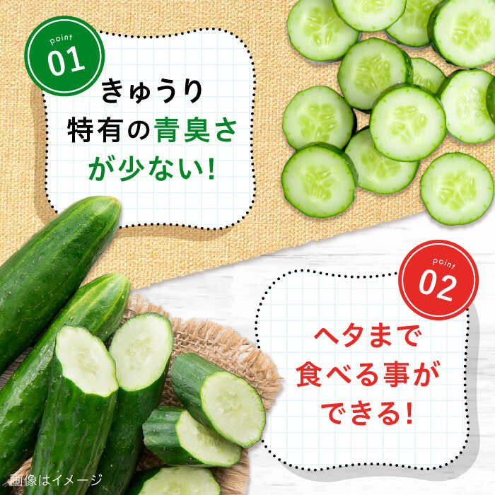 【ふるさと納税】【鮮度バツグン】【訳あり】広島県 江田島市産 きゅうり 5kg×1箱 Lサイズ 野菜 やさい きゅうり 胡瓜 キュウリ セット 新鮮 冷蔵 大容量 旬 詰め合わせ サラダ ギフト 広島県産 人気 送料無料 江田島市/ひろしま農業協同組合江田島アグリセンター[XCA002] - 画像3