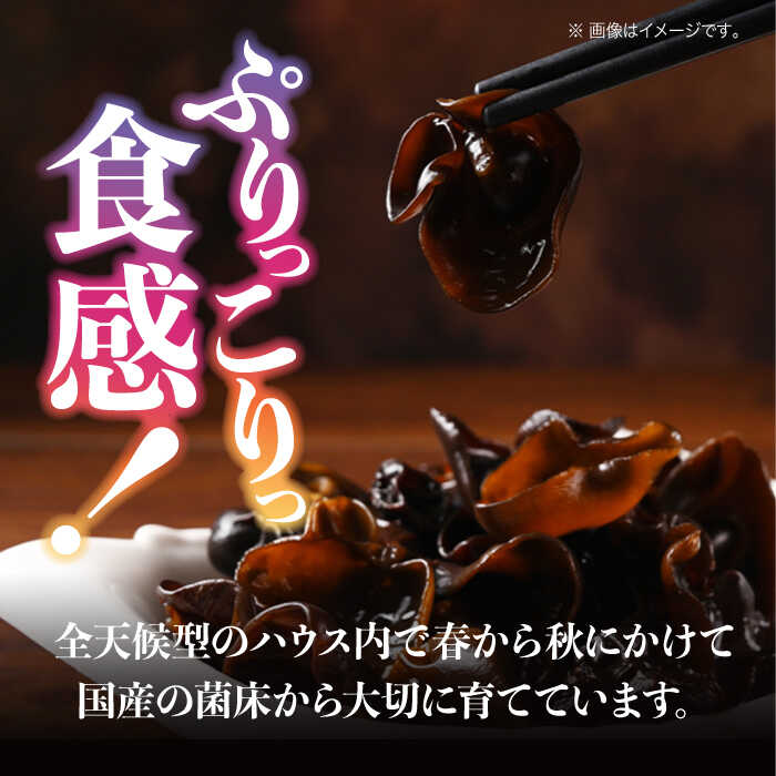 【ふるさと納税】【全12回定期便】【栄養満点スーパーフード】りんりん きくらげ よくばりセット 計10袋 きくらげ キクラゲ 木耳 きのこ キノコ 食物繊維 野菜 やさい 乾燥 炒め物 ラーメン 便利 密封 安心 安全 美容 健康 ギフト 江田島市/株式会社凛[XCB014] - 画像3