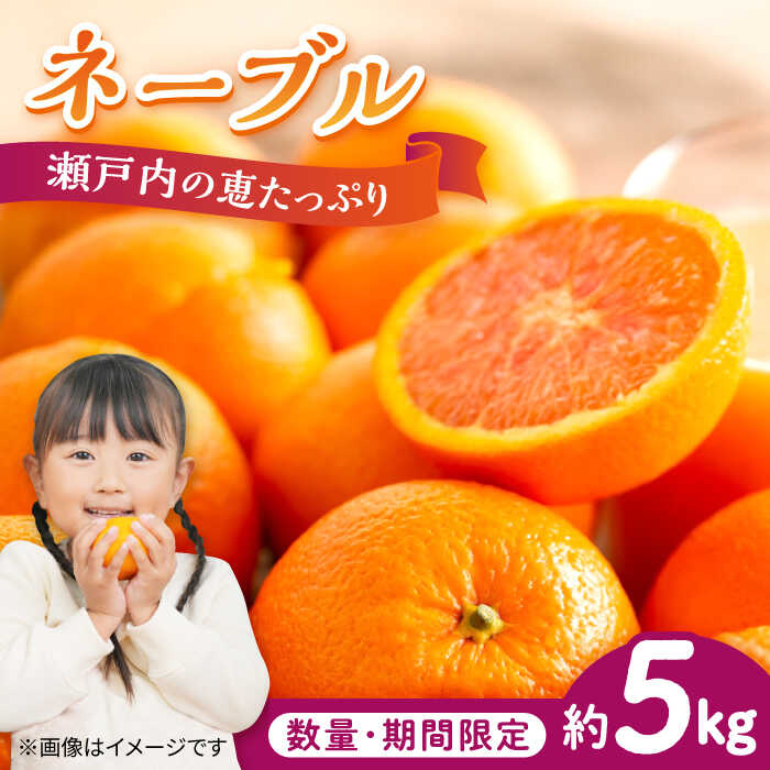 【期間限定】厳選 ネーブル 5kg みかん 蜜柑 ミカン 果物 くだもの フルーツ みかん ミカン オレンジ 蜜柑 柑橘 先行予約 ジュース 果実 甘味 酸味 ギフト 広島県産 人気 送料無料 江田島市/小原農園[XCE003]