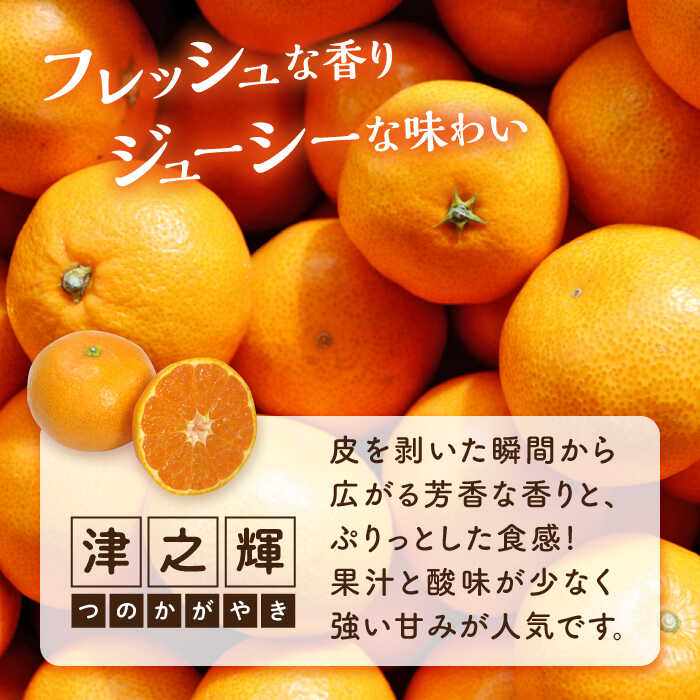 【ふるさと納税】【期間限定】厳選 津之輝 5kg みかん 蜜柑 ミカン 果物 くだもの フルーツ みかん ミカン オレンジ 蜜柑 柑橘 先行予約 ジュース 果実 甘味 酸味 ギフト 広島県産 人気 送料無料 江田島市/小原農園[XCE004] サムネイル2