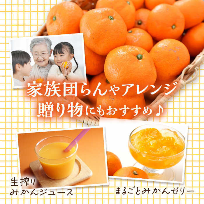 【ふるさと納税】【期間限定】厳選 みはや 5kg みかん 蜜柑 ミカン 果物 くだもの フルーツ みかん ミカン オレンジ 蜜柑 柑橘 先行予約 ジュース 果実 甘味 酸味 ギフト 広島県産 人気 送料無料 江田島市/小原農園[XCE005] サムネイル3