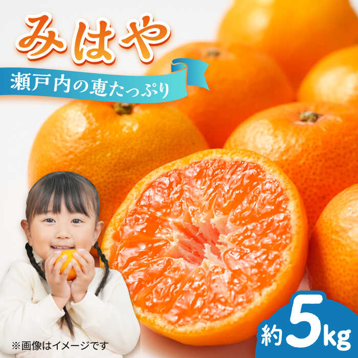 【期間限定】厳選 みはや 5kg みかん 蜜柑 ミカン 果物 くだもの フルーツ みかん ミカン オレンジ 蜜柑 柑橘 先行予約 ジュース 果実 甘味 酸味 ギフト 広島県産 人気 送料無料 江田島市/小原農園[XCE005]