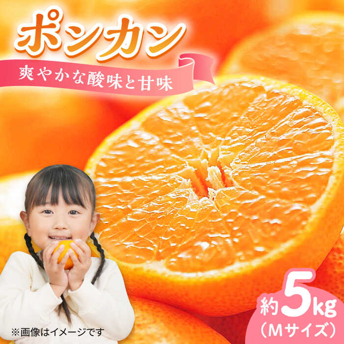【期間限定】ポンカン 5kg みかん 蜜柑 ミカン 果物 くだもの フルーツ みかん ミカン オレンジ 蜜柑 柑橘 先行予約 ジュース 果実 甘味 酸味 ギフト 広島県産 人気 送料無料 江田島市/小原農園[XCE012]