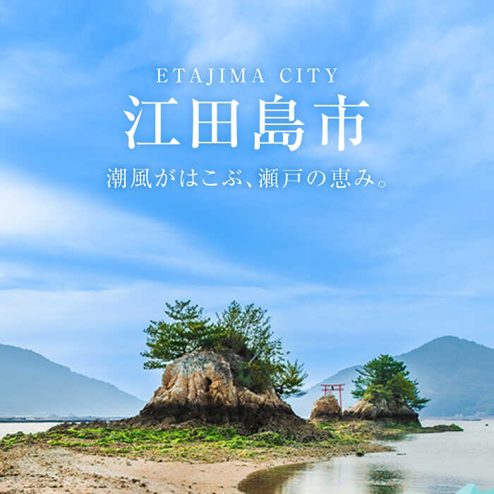 【ふるさと納税】広島県江田島市の対象施設で使える楽天トラベルクーポン 寄付額30,000円 観光地応援 温泉 旅行 ホテル 旅館 クーポン チケット - 画像2