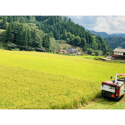 【ふるさと納税】【令和7年産】ヒノヒカリ　白米5kg【1441145】 - 画像2