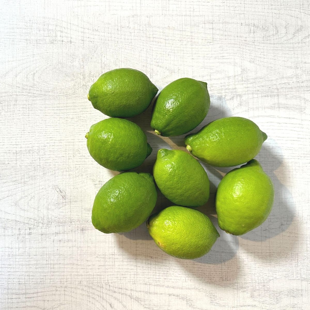 【ふるさと納税】グリーンレモン 約3kg 9-11月頃発送予定 こいけ農園 広島県 大崎上島町 瀬戸内 離島 果物 フルーツ 柑橘 レモン 檸檬 爽やか ギフト 送料無料 産地直送 サムネイル2