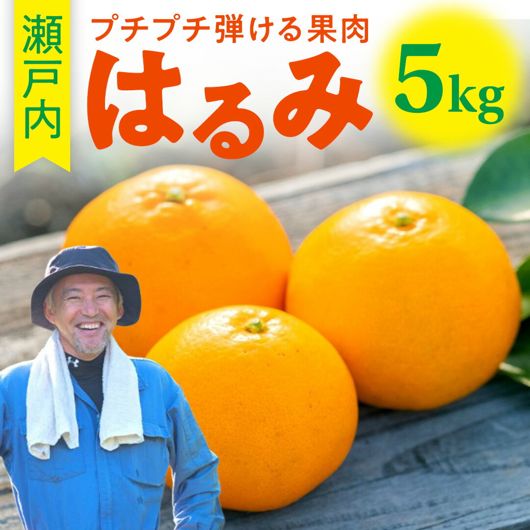 1~2月発送予定 こいけ農園 はるみ 約5kg 広島県 大崎上島町 瀬戸内 離島 濃厚 果物 フルーツ 柑橘 みかん 送料無料 産地直送