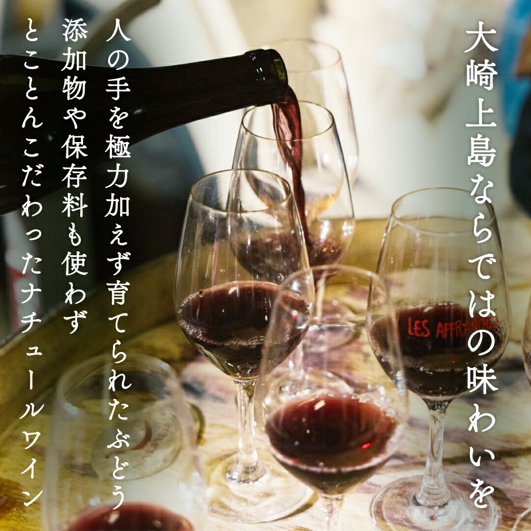 【ふるさと納税】瀬戸内 の ナチュールワイン 750mL 【Vignoble de NAKA 2023 rouge MBA】 ワイン 赤ワイン 国産 酒 お酒 アルコール 無添加 有機栽培 有機ぶどう 保存料不使用 マスカットベーリーA ギフト 贈答 広島 大崎上島 サムネイル2