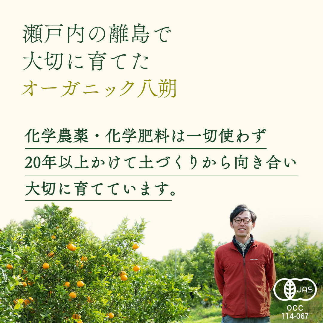 【ふるさと納税】瀬戸内 オーガニック 紅八朔 3kg みかん オレンジ 国産 有機JAS認証 有機栽培 柑橘 八朔 ハッサク はっさく 果物 フルーツ 広島 大崎上島 サムネイル3